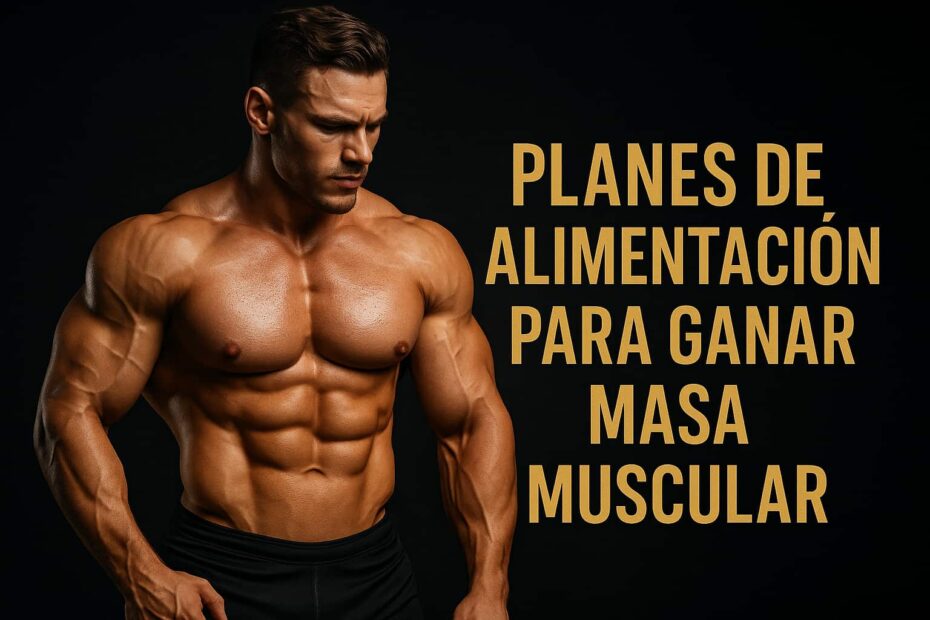 planes de alimentación masa muscular